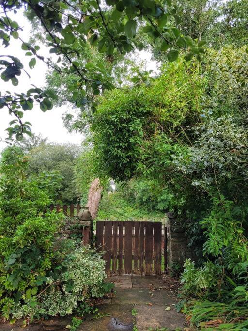 Ystradgynlais Riverside Bungalow - Direct River Access! מראה חיצוני תמונה